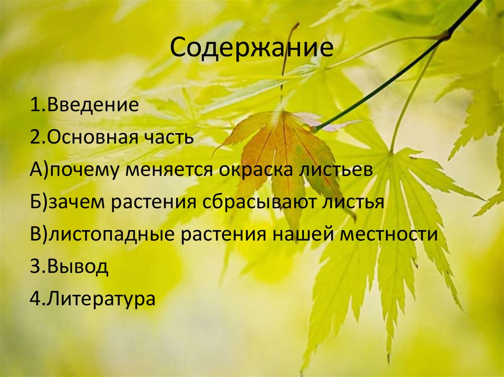 Содержание