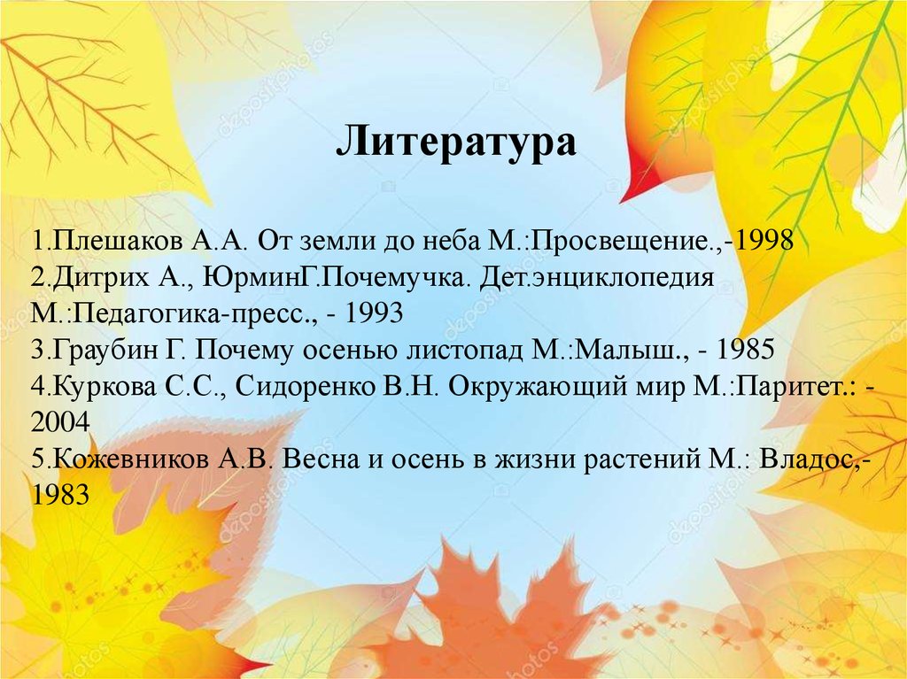 Почему осенью листопад. Кожевников Весна и осень в жизни растений.