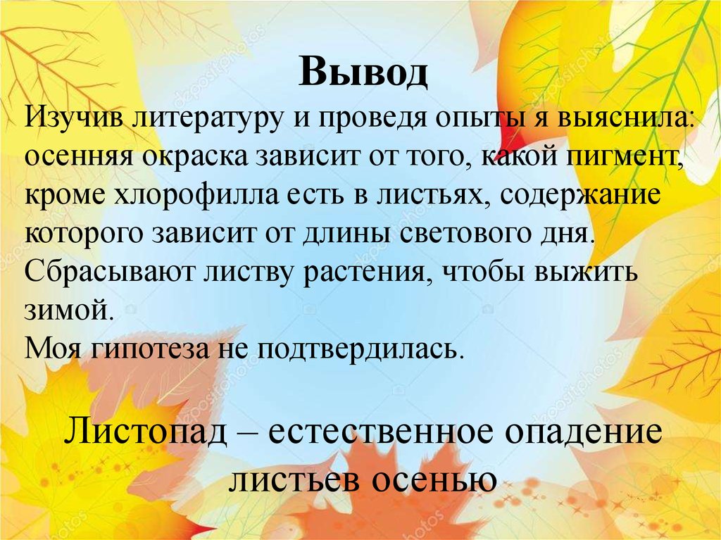 Какое значение имеет зеленая окраска листьев