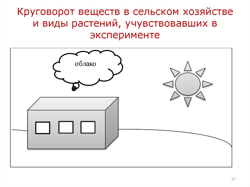 Круговорот веществ в сельском хозяйстве и виды растений, учувствовавших в эксперименте