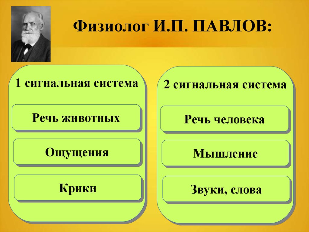 1 сигнальная система. 1 И 2 сигнальные системы по Павлову. Вторая сигнальная система по Павлову. Первая сигнальная система Павлов. Речь первая и вторая сигнальная система.