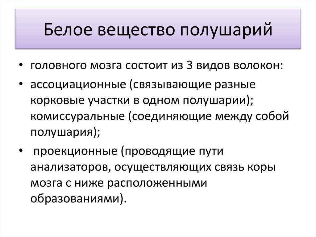 Белое вещество. Белое вещество головного мозга функции. Из белого вещества полушарий головного мозга состоят. Белое вещество больших полушарий состоит из. Белое вещество головного мозга состоит из.