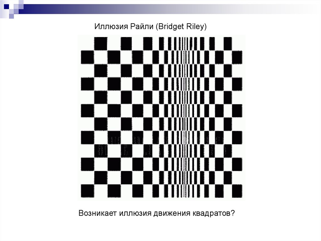Бриджет райли. Психологические иллюзии. Бриджет райли картины. Бриджет райли движение в квадратах. Движение в квадратах (1961).