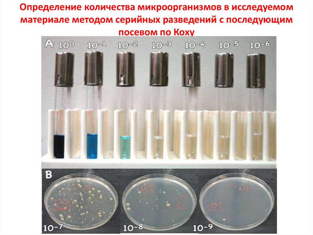 Стандартный образец молока