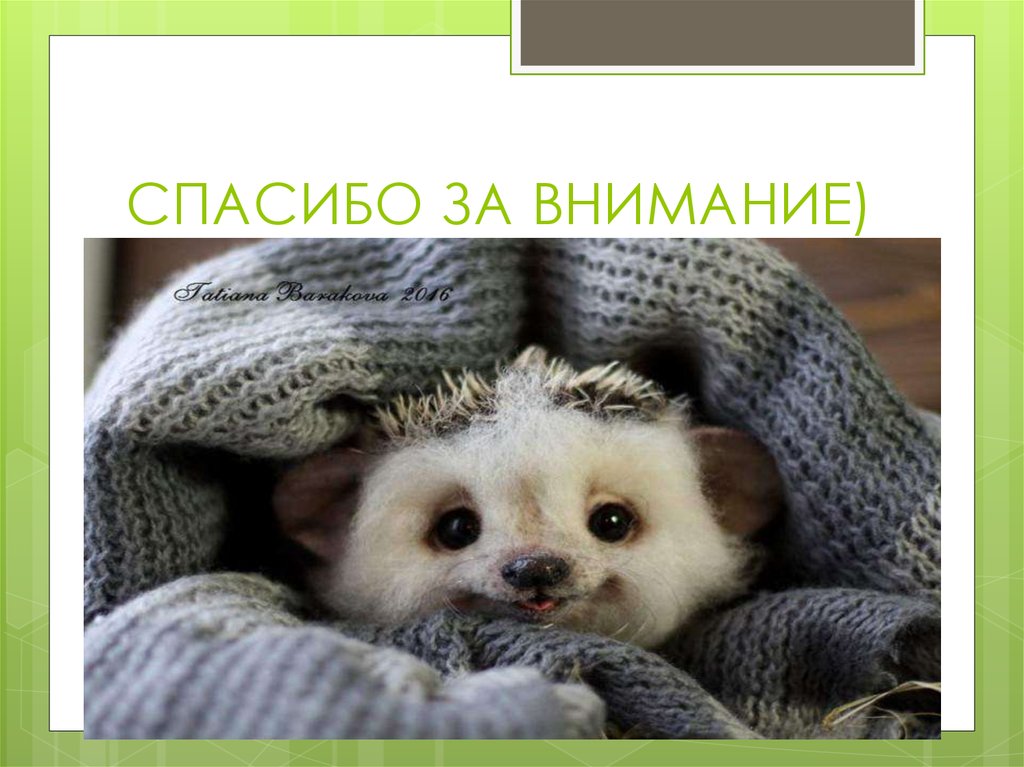 СПАСИБО ЗА ВНИМАНИЕ)