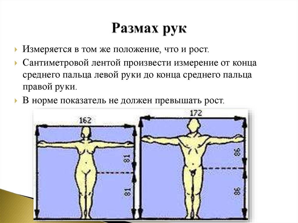 Размах рук. Размах рук как измерить. Средний размах рук человека. Размах рук и рост.