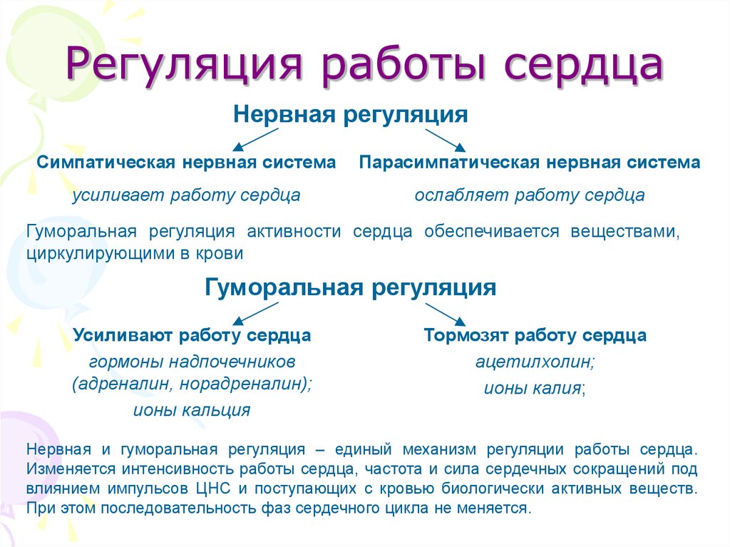 Регуляция работы сердца. Гуморальная регуляция сердечно сосудистой системы. Регуляция работы сердца и кровеносных сосудов. Регуляция деятельности сердца и тонуса сосудов. Нервно-гуморальная регуляция сердечной деятельности.