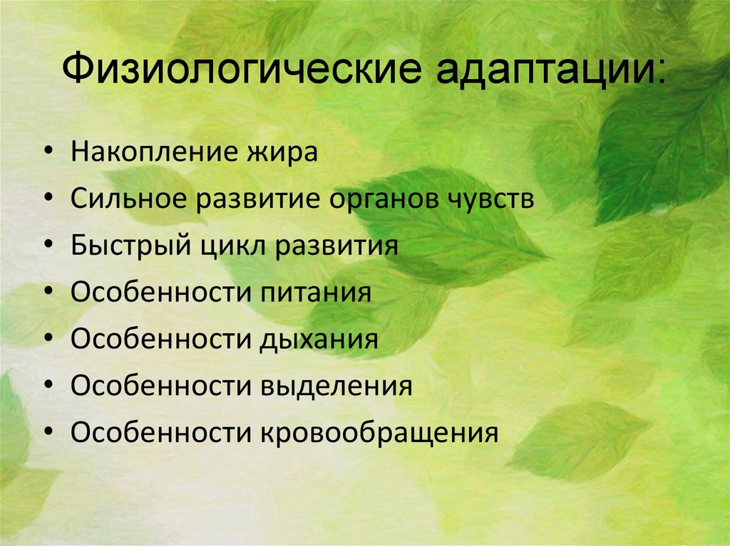 Адаптация насекомых презентация 9 класс