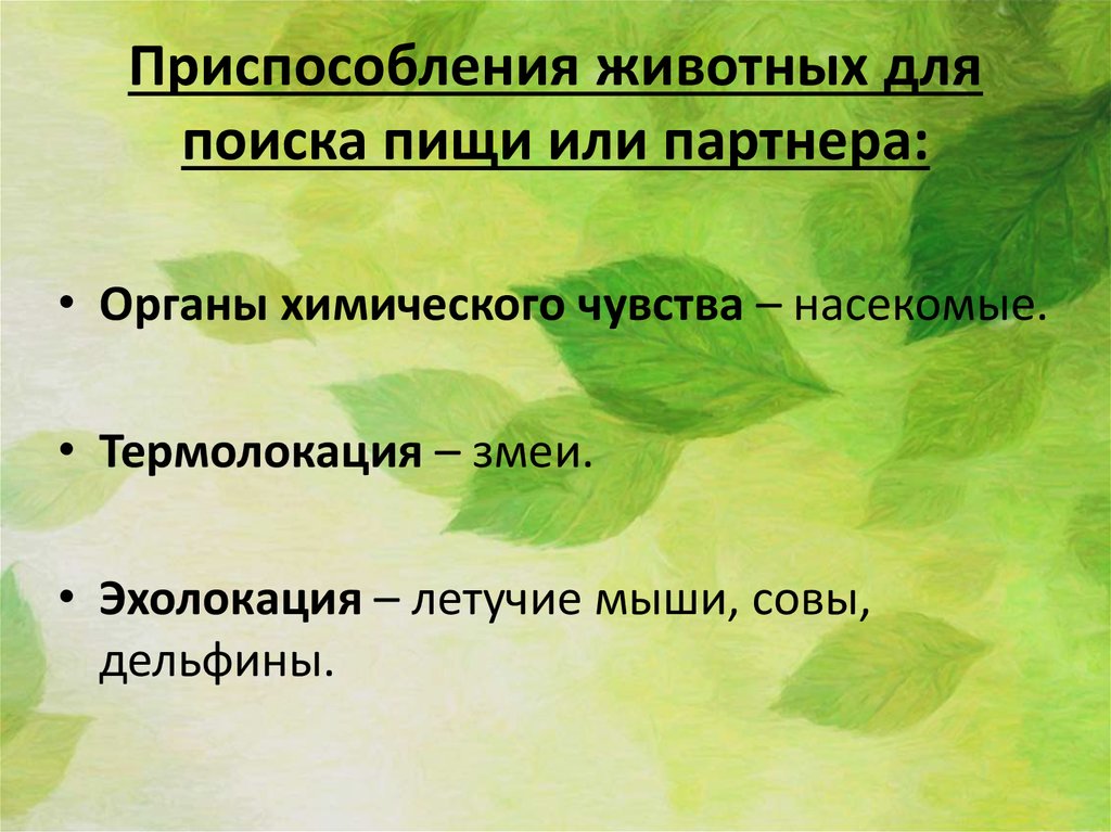 Адаптация насекомых к сезонным изменениям в природе презентация 9 класс