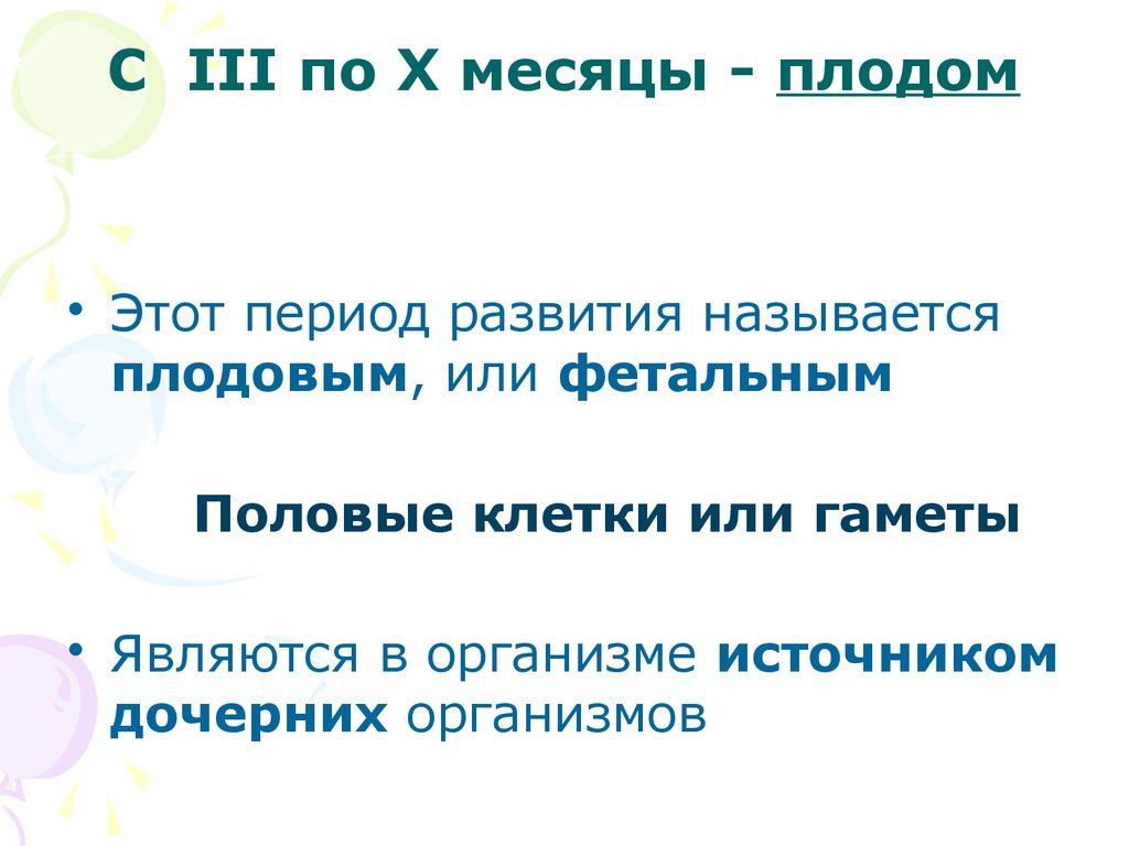 С III по X месяцы - плодом