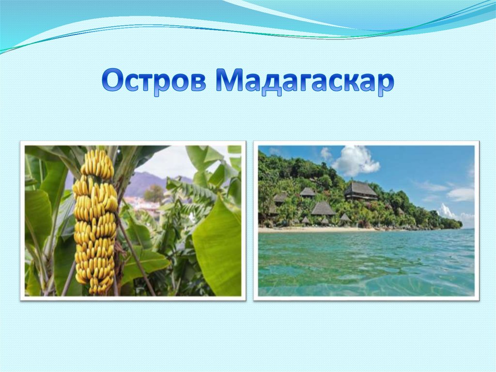 Остров Мадагаскар