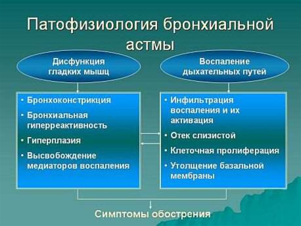 Респираторные аллергозы презентация