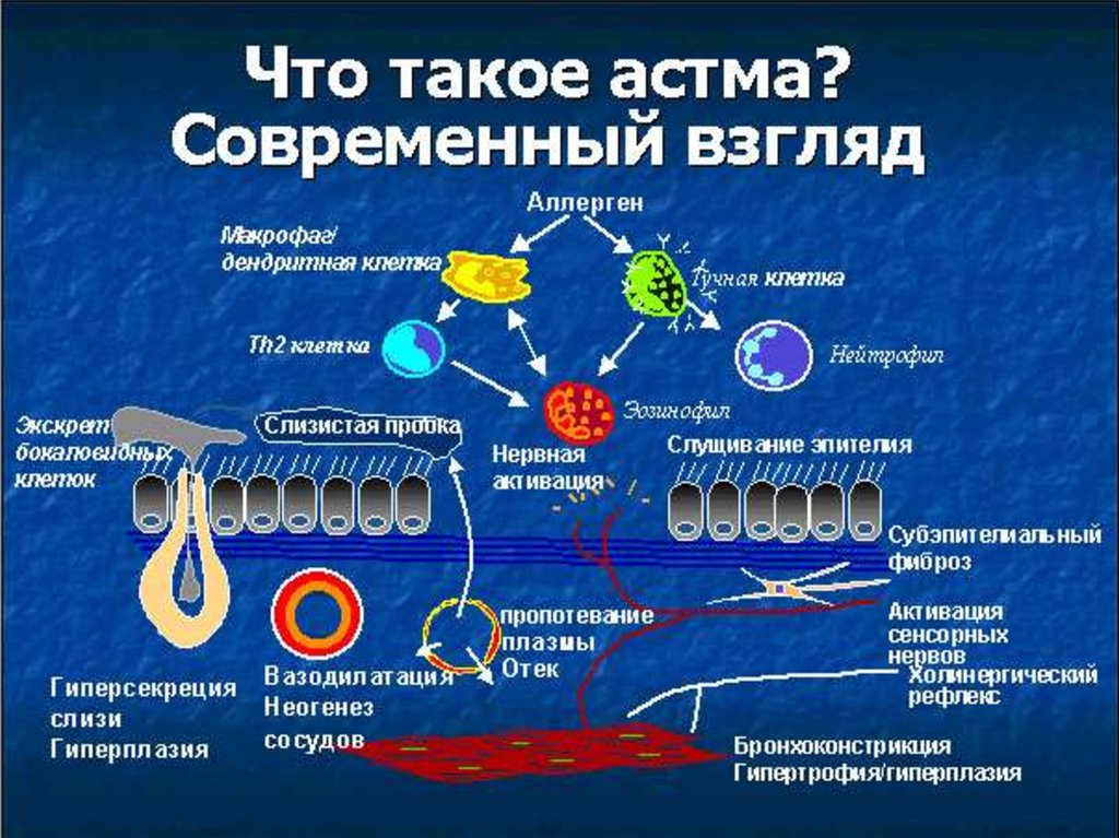 Респираторные аллергозы презентация