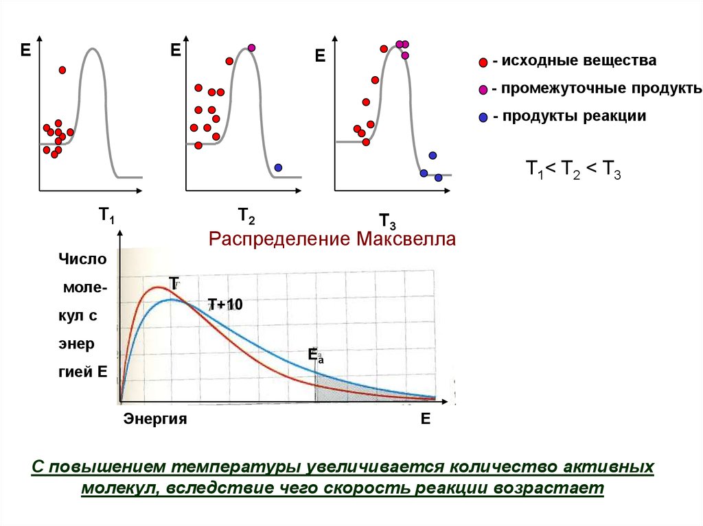 Скорость реакции возрастает. Элементы химической кинетики. Кинетик элементы. Промежуточное вещество. Исходные вещества.