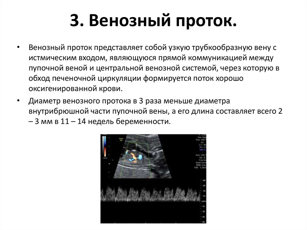 ECHOGRAPHIC MARKERS OF INTRAUTERINE INFECTION - Fundamental research