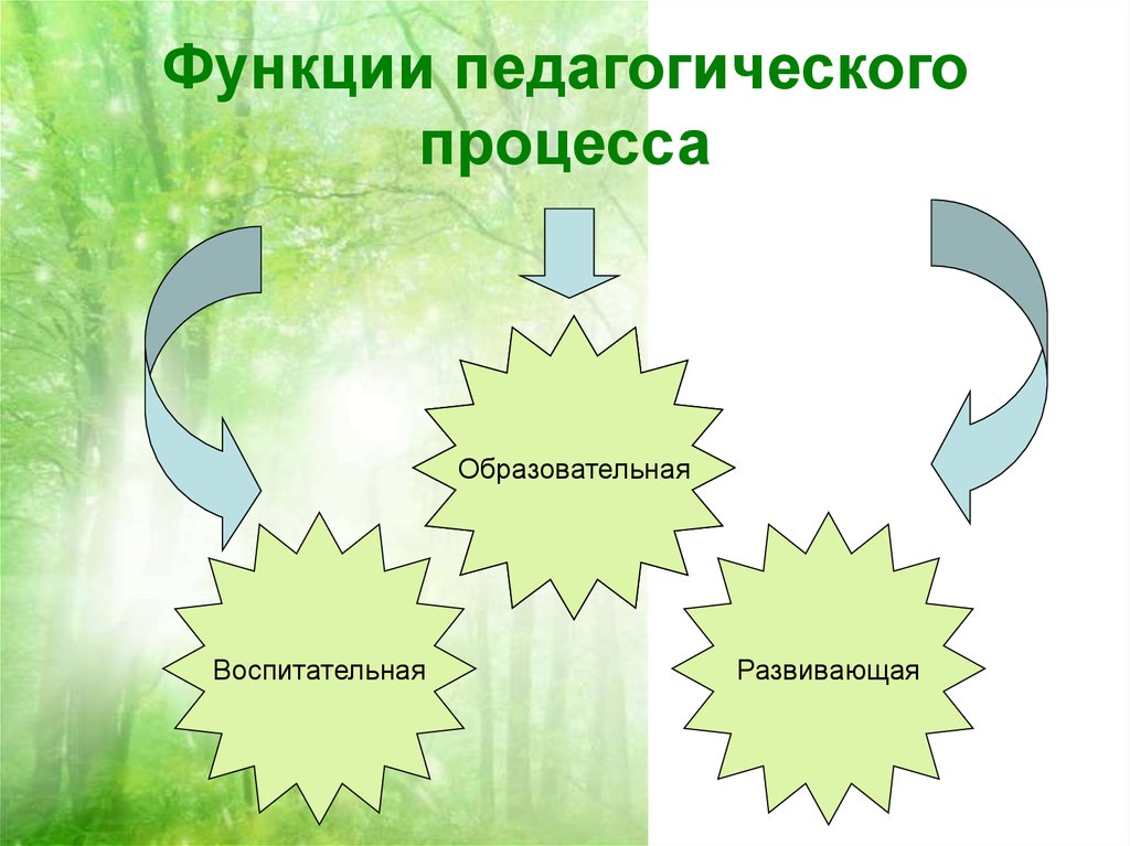 Функции педагогического рисунка