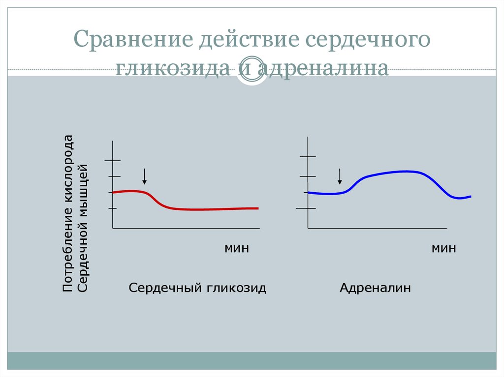 Действие сравнения. Адреналин и сердечные гликозиды. Эффекты адреналина на сердечно-сосудистую систему. Адреналин эффект на сердечно сосудистую. Потенциал действия при сердечных гликозидах.