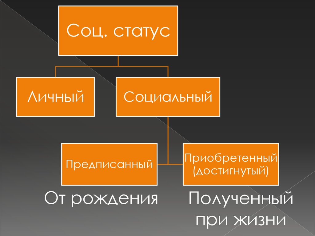 Социальные звания