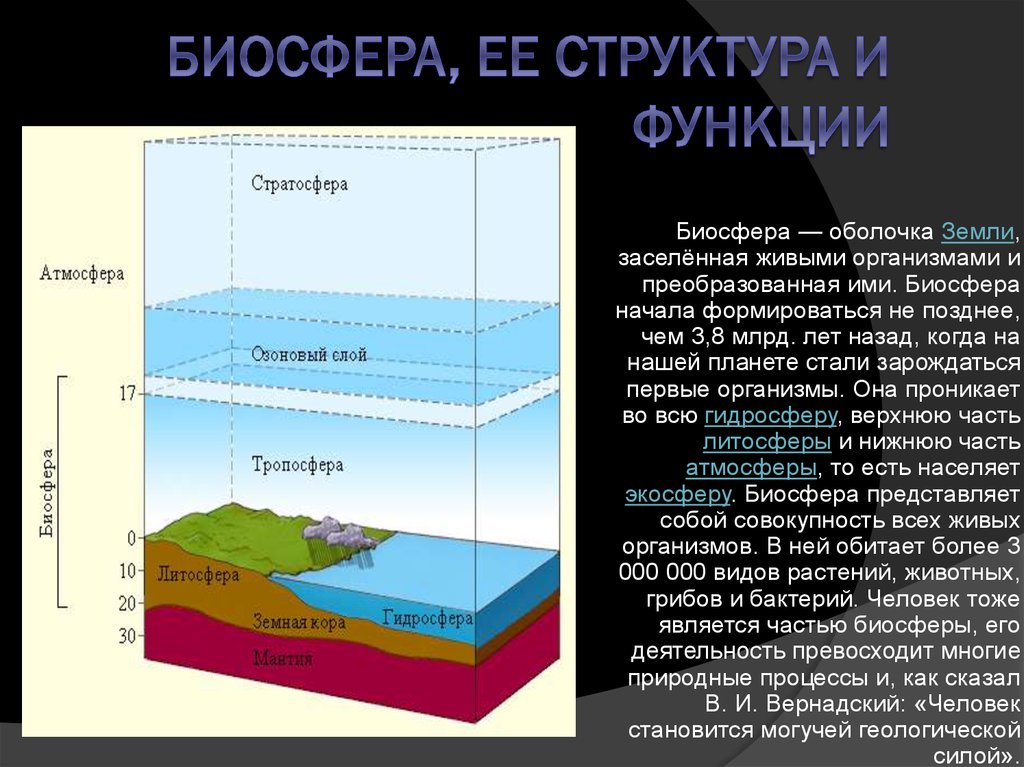 Биосфера оболочка жизни презентация