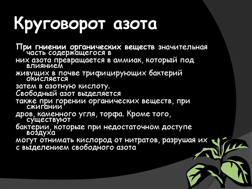 Опишите круговорот азота в природе. Опишите круговорот азота. Круговорот азота в природе. Круговорот азота кратко. Круговорот азота в природе кратко.