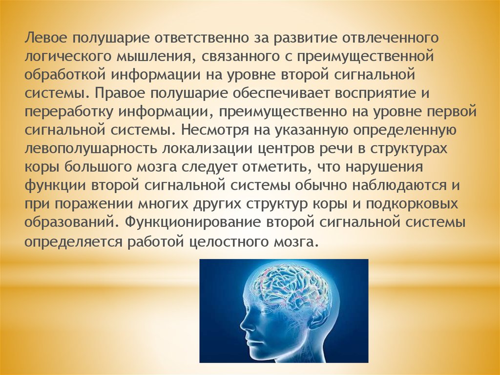 Сигнальная система головного мозга. Вторая сигнальная система (левое полушарие). Центры второй сигнальной системы. Вторая сигнальная система мозг. Вторая сигнальная система и Абстрактное мышление..