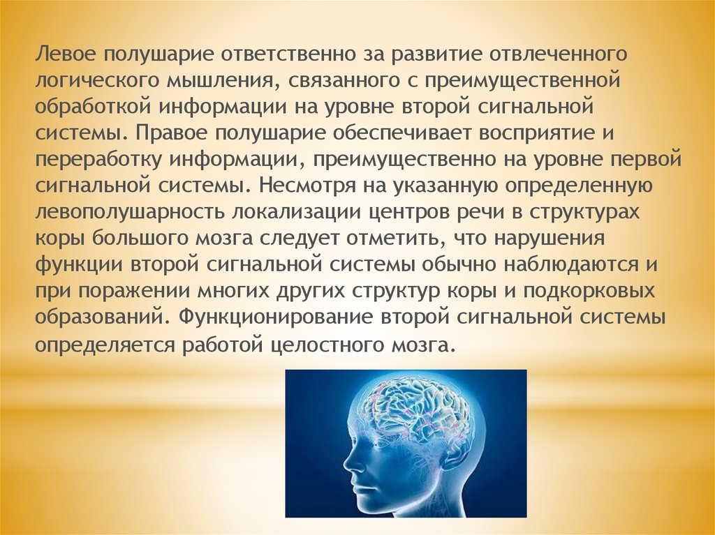 Связанны с мыслительной деятельностью. Вторая сигнальная система (левое полушарие). Центры второй сигнальной системы. Вторая сигнальная система мозг. Вторая сигнальная система и Абстрактное мышление..