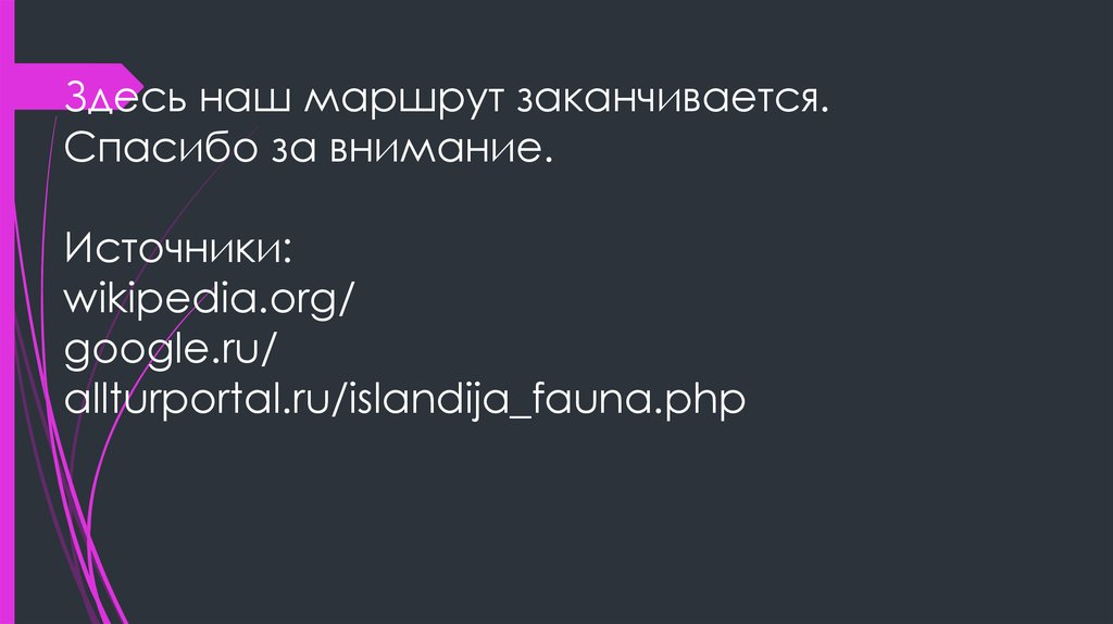 Здесь наш маршрут заканчивается. Спасибо за внимание. Источники: wikipedia.org/ google.ru/ allturportal.ru/islandija_fauna.php
