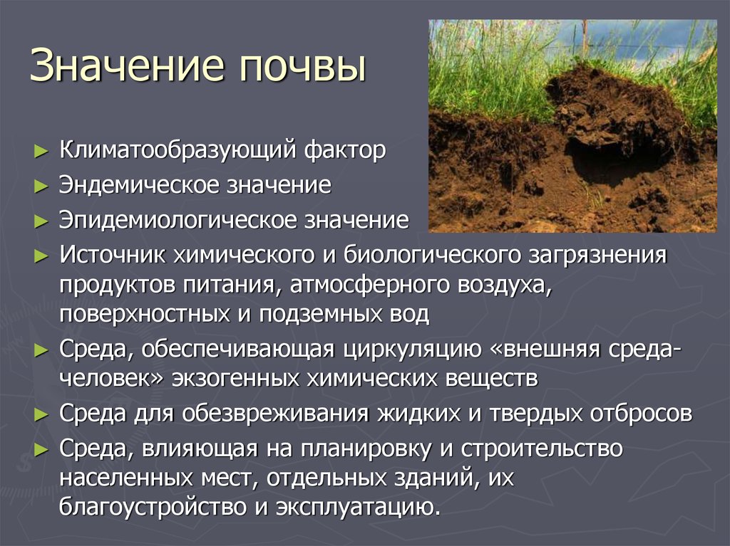 Механические воздействия на почву. Значение почвы. Заняение почвы. Загрязнение почвы. Роль почвы для человека.