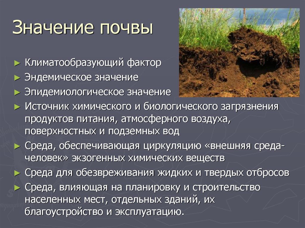 Среды почв. Значение почвы. Природа почва. Роль почвы для человека. Значимость почвы.