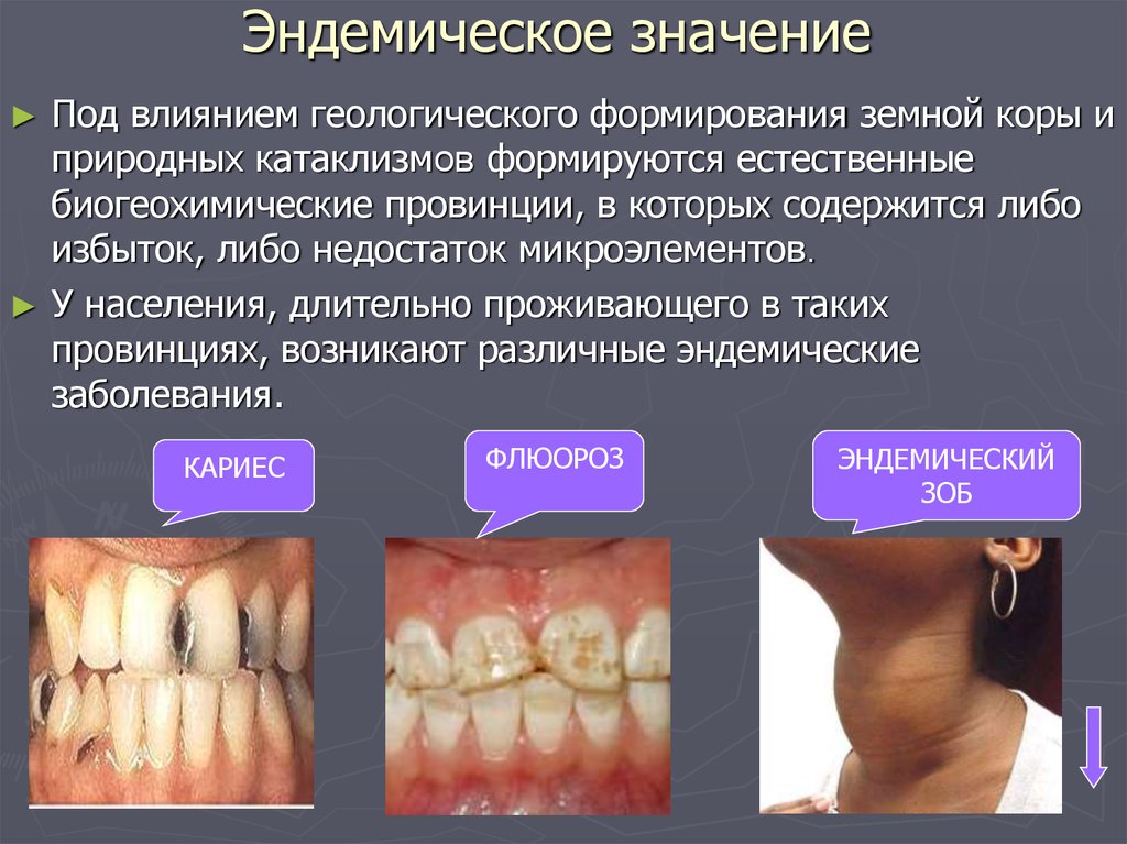 Эпидемиологическое значение почвы презентация