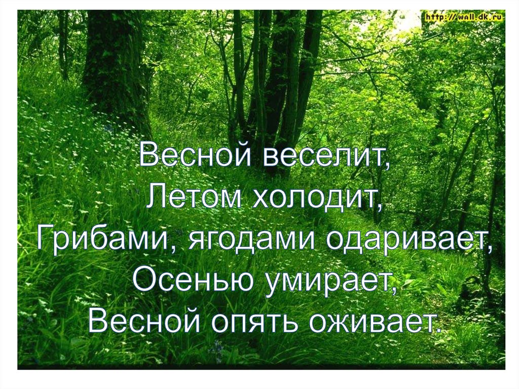 Весной веселит летом холодит осенью согревает. Жизнь природного сообщества осенью. Природное сообщество лес цель проекта. Доклад 