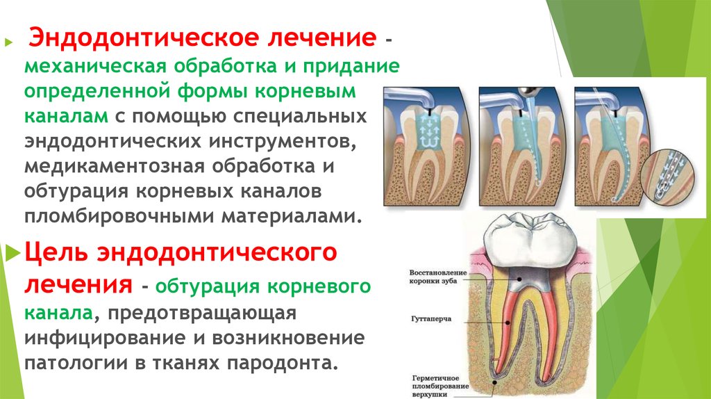 Неотложное лечение зубов с нежизнеспособной пульпой презентация