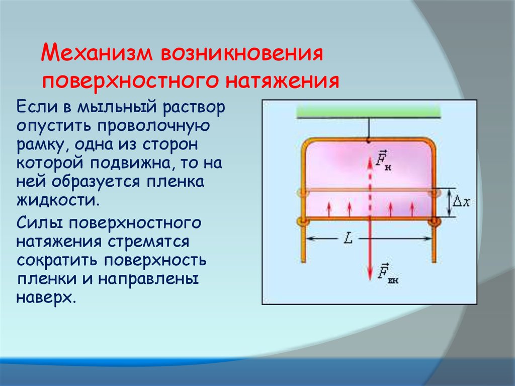 Возникновение каких сил. Механизм образования сил поверхностного натяжения. Механизм возникновения поверхностного натяжения жидкостей. Механизм возникновения сил поверхностного натяжения. Сила поверхностного натяжения жидкости.