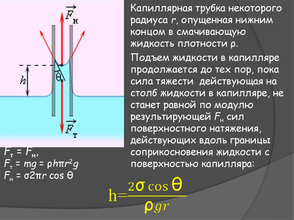 Какие силы действуют на жидкости. Метод поднятия жидкости в капилляре. Капиллярный подъем жидкости. Капиллярная трубка физика. Капиллярность воды.