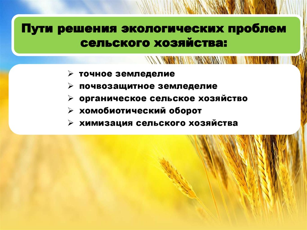 Экологические проблемы апк таблица. Пути решения проблем сельского хозяйства. Пути решения растениеводства. Экологические проблемы сельского хозяйства. Решение экологических проблем сельского хозяйства.