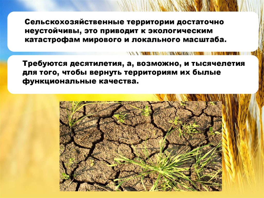 Влияние сельского. Пути решения экологических проблем сельского хозяйства презентация. Локальный масштаб биология.