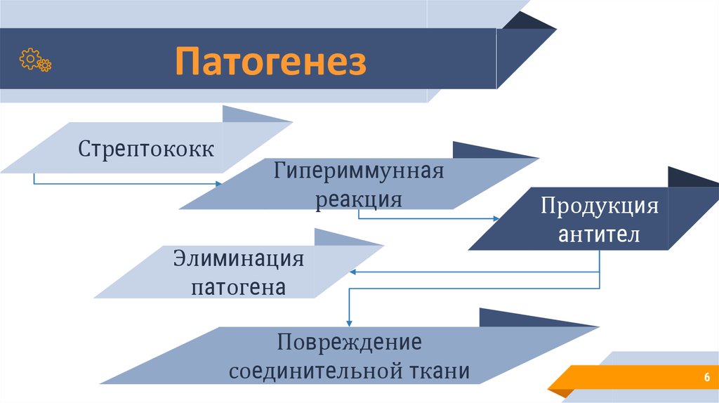 Ревматизм патогенез