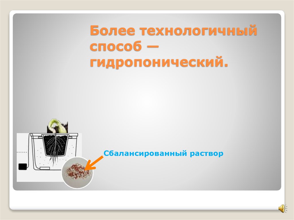 Более технологичный способ — гидропонический.