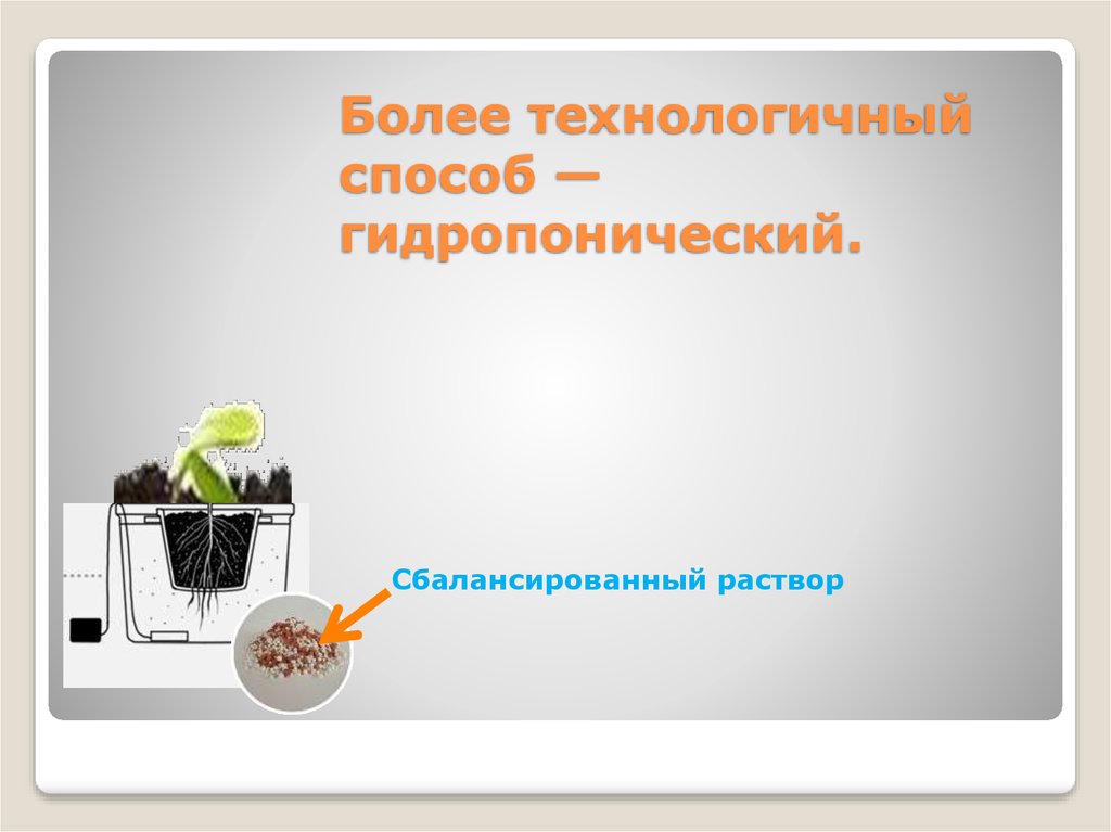 Более технологичный способ — гидропонический.