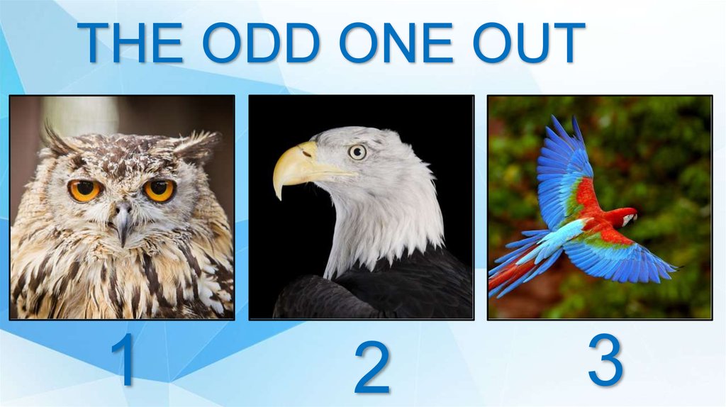 Ones odd out перевод. The odd one out и компьютер. Odd one out b2. Choose the odd one out Singer donner. He's an odd one.