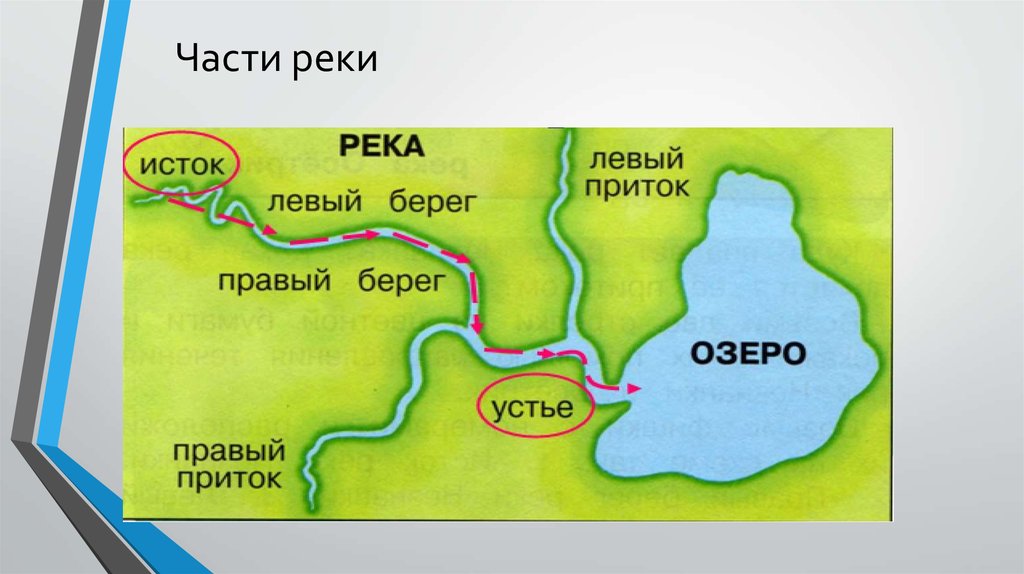 Строение реки рисунок