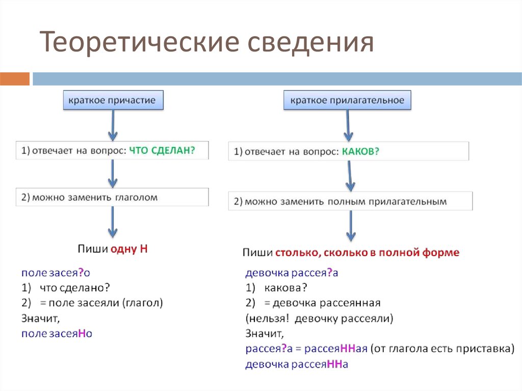 Рассеянно как пишется н или нн. Теоретические сведения. Что такое теоретические сведения в русском языке. Н И НН В разных частях речи задания. Н И НН В различных частях речи упражнения.