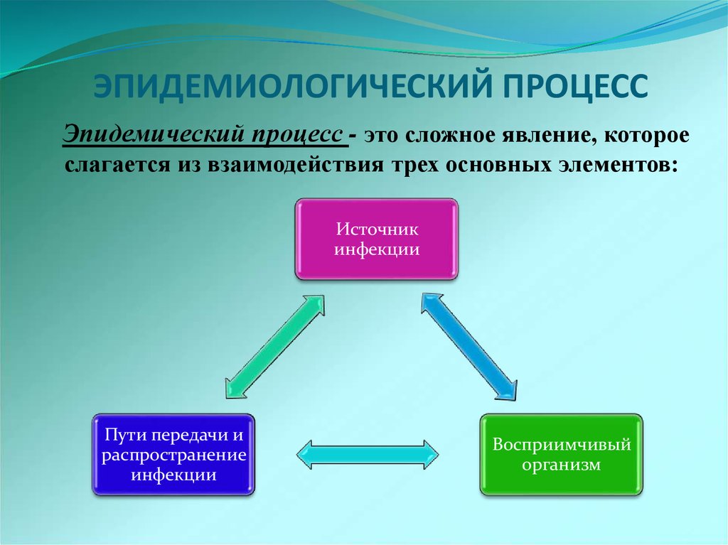 Эпидемический процесс и меры воздействия схема