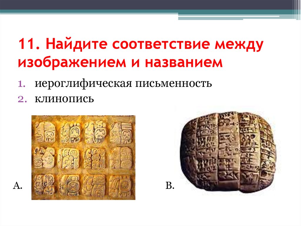 11. Найдите соответствие между изображением и названием
