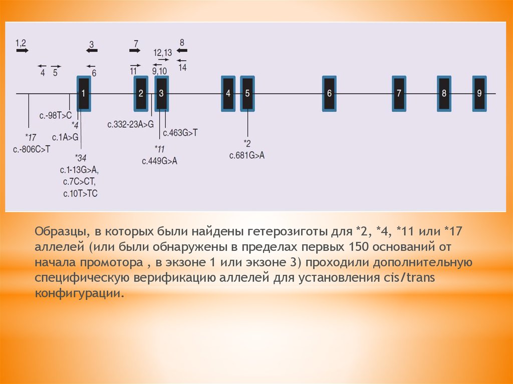 Вариант 1 c 2 c 3