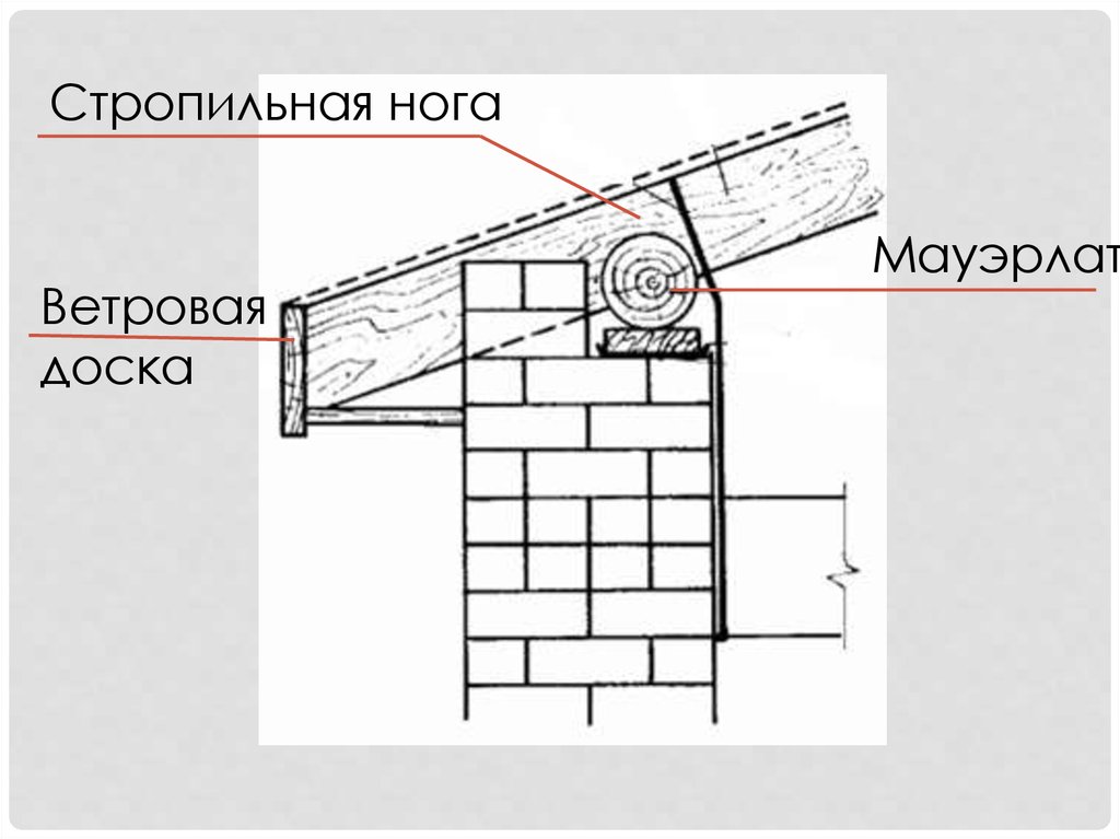 Мауэрлат опирание