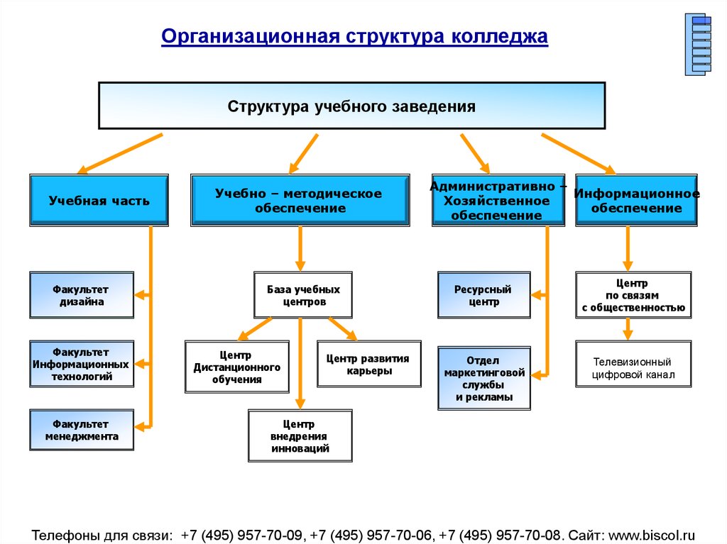 Схема организационная структура техникума