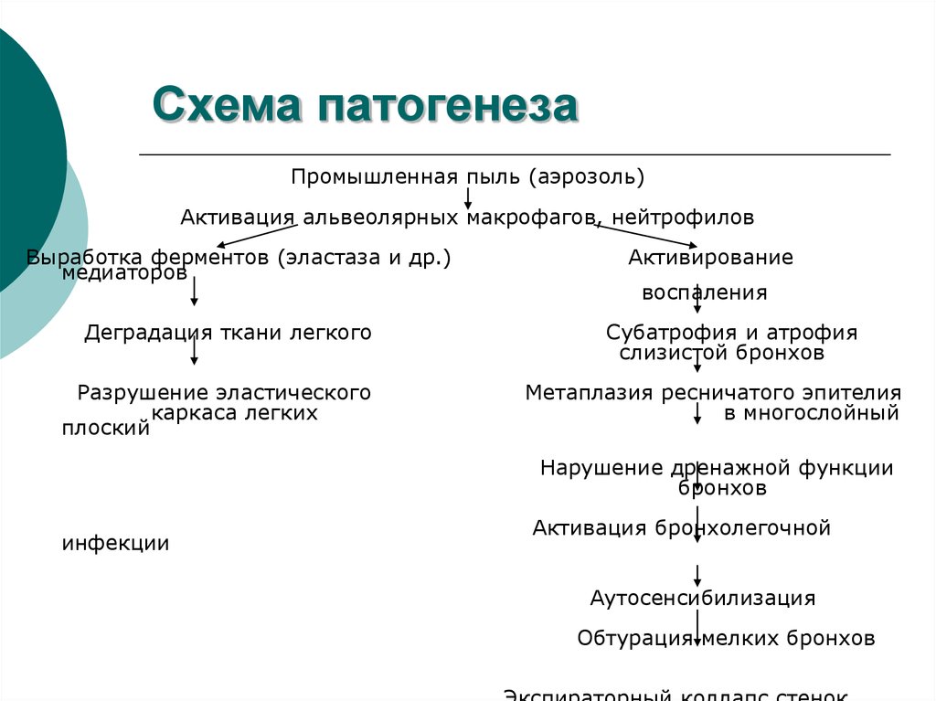 Схема патогенеза бронхиальной астмы