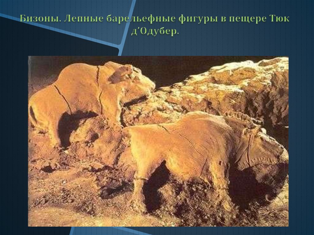 Бизоны. Лепные барельефные фигуры в пещере Тюк д’Одубер.