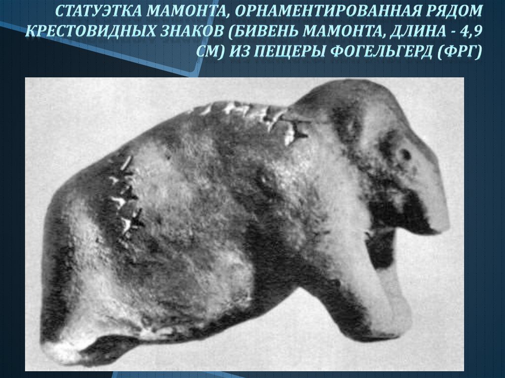 Статуэтка мамонта, орнаментированная рядом крестовидных знаков (бивень мамонта, длина - 4,9 см) из пещеры Фогельгерд (ФРГ)